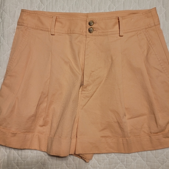 Muted Pink Madewell Pleated Shorts Sz 6 - Picture 7 of 8
